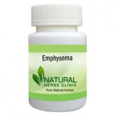 Elecampane is a specific herb that has solid expectorant and calming properties that used in Natural Remedies for Emphysema. It additionally helps the resistant framework and tones the lungs.
https://www.naturalherbsclinic.com/blog/natural-remedies-for-emphysema/