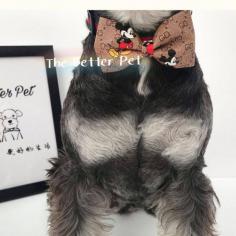 犬の首輪 猫の首輪 かわいい ペット首輪 LV DIOR GUCCIⅹミッキー
通販サイト：https://www.storezaka.com/products/1658.html