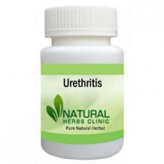 Herbal Treatment for Urethritis read the Symptoms and Causes. Urethritis is infection of the urethra, the tube that carries urine from the bladder out of the body. This is the tube that passes urine from the bladder to outside the body.

