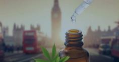 CBD oils are still ill-understood by many, making it difficult to determine which CBD oils provide the best benefits. We reviewed the 7 best CBD oils in the UK to provide you with a plethora of options for your needs

https://observer.com/2020/12/cbd-oil-uk-buy-best-cbd-oils-uk/
