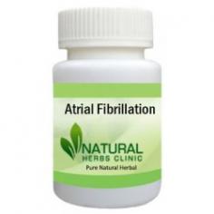 Herbal Treatment for Atrial Fibrillation read the Symptoms and Causes. Natural Remedies for Atrial Fibrillation and Supplement reduce the risk of stroke.
