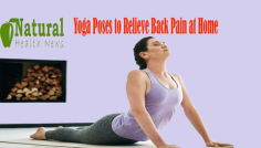 Are you looking for Yoga Poses to Relieve Back Pain? We understand your need and are here to help you out in this task.	https://www.natural-health-news.com/5-easy-to-perform-yoga-poses-to-relieve-back-pain-at-home/
