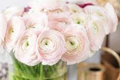 Fresh flowers delivered straight to your door when you buy flowers online at Vhouse Meet.  We offer beautiful arrangements with additional gifts to add, making purchasing flowers a breeze.
