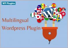 Connecting to a global market with a multilingual website is very beneficial. Most of the time, businesses prefer to design their website in the English language, when the time to expand the business, then only English language does not work and requires a multilingual website. In this case, Multilingual WordPress Plugin is best. It makes the website multilingual without disturbing the website core. t.ly/2njG