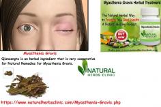 5 Useful Natural Remedies for Myasthenia Gravis to Lessen the Symptoms
Natural Remedies for Myasthenia Gravis can also assist an affected person to supervise with the symptoms of this Myasthenia gravis.  Herbs which can be utilized to treat this disorder consist of Asian Ginseng, Gingko Biloba, Echinacea, Winter Cherry, and Astragalus. Echinacea Root Tea is one of the useful herbal elements used in Home Remedies for Myasthenia Gravis without any side effects.
https://www.naturalherbsclinic.com/blog/natural-remedies-for-myasthenia-gravis/ 
