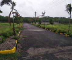 Green Avenue Shamshabad offer best plots in Shamshabad for sale in a prime colony of Hyderabad. To buy plots in Shamshabad click : https://www.greenavenue.co.in/