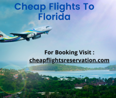 It’s another season, and you’ve planned your trip to Florida, but the airfare is still a challenge to you. There are travel tips you can use to minimize your expenses and get cheap flights to Florida