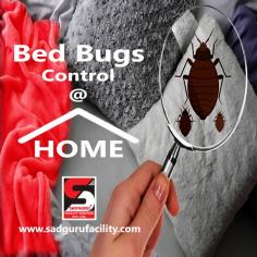Pest Control Services in Thane, Sanitization Services, Cockroach Control Services, Termite Control Services, Pest Control, Bedbug Control Services, Cockroach and Ant Control Services, Bird Netting Service, Pest Control Services in Borivali, Pest Control Services in Andheri, Pest Control Services in Kandivali, Residential Pest Control Services, Commercial Pest Control Services, Rats and Rodent Control Services, Pest Control Services, Pest Control Services in Goregaon, Mosquito Control Services, Ratguard, Disinfection Control Services, Pest Control Services in Mumbai, Integrated Pest Management, Pest Control Services Near Me, Pest Control Services in Bandra, Residential Pest Control, Commercial Pest Control, Pest Control Services in Lower parel, Pest Control Services in Goregaon, Ratguard Control Services, Pest control India, Pest Control Mumbai, Herbal Pest Control, Sadguru Facility Services, Sadguru Pest Control, Call:  8291960605 / 7208995500
https://www.sadgurupestcontrol.com/best-pest-control-services-in-thane/	
