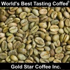 Get the Best Jamaica Blue Mountain Coffee  at Gold Star Coffee at the best pricing range. Jamaica Blue Mountain Coffee is unique and tasty and one of the rarest coffees in the world. It exhibits bright and energetic yet smooth acidity with no bitterness. See more https://goldstarcoffee.ca/t/jamaica-blue-mountain