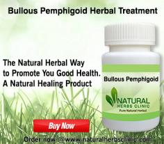 Herbal Treatment for Bullous Pemphigoid read the Symptoms and Causes. Natural Remedies for Bullous Pemphigoid or Supplement used to treat the condition.
https://www.naturalherbsclinic.com/product/bullous-pemphigoid/
