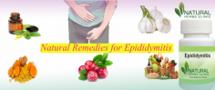 Epididymitis wounded should make some nutritional alterations along with Natural Remedies for Epididymitis to get rid of this painful disease. If you are having Epididymitis, it is wise that you stay away from hot drinks such as, coffee, tea, alcohol, and carbonated drinks which infuriate the urinary system.
https://www.naturalherbsclinic.com/blog/how-to-get-rid-of-natural-remedies-for-epididymitis-at-home/
