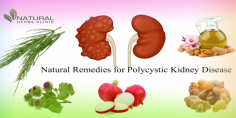 Grape Stum is one of the best Natural Remedies for Polycystic Kidney Disease. Organic grape juice is also amazing.