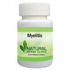 Herbal Treatment for Myelitis read the Symptoms and Causes. Natural Remedies for Myelitis can help to reduce inflammation in spine. Supplement lessens the nerve pain.
