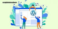 What makes it easy and convenient for a website development company in India to perform a WordPress web development project? It’s a long list of WordPress web development tools, some of the best ones stated in this blog.