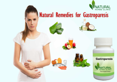 Apple cider vinegar is also one of the very effective Natural Remedies for Gastroparesis. It has an alkalizing effect on your body which can help you to get relief from heartburn, bloating, abdominal pain, and also it can improve digestion.
https://www.naturalherbsclinic.com/blog/natural-remedies-for-gastroparesis/