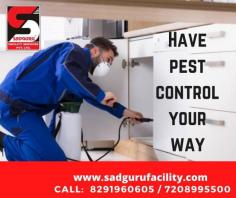 Pest Control Services in Dahisar, Sanitization Services, Cockroach Control Services, Termite Control Services, Pest Control, Bedbug Control Services, Cockroach and Ant Control Services, Bird Netting Service, Pest Control Services in Borivali, Pest Control Services in Andheri, Pest Control Services in Kandivali, Residential Pest Control Services, Pest Control Services in Goregaon,  Commercial Pest Control Services, Rats and Rodent Control Services, Pest Control Services, Pest Control Services in Mumbai, Mosquito Control Services, Ratguard, Disinfection Control Services, Pest Control Services in Thane, Integrated Pest Management, Pest Control Services Near Me, Pest Control Services in Bandra, Residential Pest Control, Commercial Pest Control, Pest Control Services in Lower parel, Pest Control Services in Goregaon, Ratguard Control Services, Pest control India, Pest Control Mumbai, Herbal Pest Control, Sadguru Facility Services, Sadguru Pest Control, Call:  8291960605 / 7208995500
https://www.sadgurupestcontrol.com/pest-control-services-in-dahisar-mumbai/
