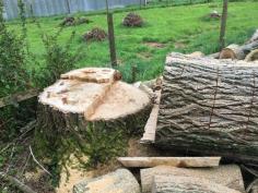 Stump Grinding Tauranga

Tree removal or relocations should be left to trained stump grinding Tauranga professionals who would execute the task safely and efficiently.Though it can be devastating removing an old established tree from your property, sometimes you have no other choice then stump grinding Tauranga. There are a lot of things you need to know about removing items from your property, so it is best to rely on professionals. It is better to take control of the situation and have the arborist do the removing instead of waiting for nature to take its course. If you suspect you might be dealing with something that is unsteady or that could easily fall over, contact a professional so things can be evaluated. We operate safely, and we are covered by liability insurance. Plus, we’ll ensure maximum care for your property during the work. This includes taking steps to avoid causing damage to the area around the stump being removed as well as being careful while moving equipment in and out of your property. You’ll also get an affordable price when you choose us for your stump removal needs.

Doing stump grinding Waikato this way means that the collar will have a chance to heal over the wound. Another thing to be wary of, is where the branch being cut down is going to land- because it's often not where you would expect. There have been lots of instances where people have cut down branches and they have landed in their neighbors yard, leaving a big mess. More importantly, if you're unsure of where the branch in question will land, it could end up really hurting someone and/or causing a lot of damage. This includes when accessing the stump and transporting equipment into your yard, as well as during the stump removal work. To speak to us about your stump grinding requirements in Waikato or Tauranga, please call today on 027 357 5083. Cutting down an unwanted or dead tree is only part of the job of removing it completely from your property. This is because most tree felling services leave the stump in the ground. Our stump removal services are the solution.

Bay Stump Grinding knows that stump removal Tauranga involves the use of some knowledge about the trees that are present on your property coupled with caring techniques like fertilizing, mulching and pruning. Tree care is not only about trees but also about caring for the turf grass and other plants around the tree area. Incorrect use of fertilizers and herbicides can do more harm than good to your trees. Our equipment is well-maintained and reliable, plus we’ll ensure it is operated safely. We have equipment suitable for removing any type or size of stump in almost any location. This includes in yards and other locations where access for large equipment is impossible. In general, if we can reach the stump, our equipment will be able to reach it too. Local people may exhale a sigh of comfort realizing that there are actually skilled arborists furnished with the knowledge and expertise in stump removal tauranga while making sure that their house will not be damaged in the process.

For more info: https://www.youonline.online/post/927747_stump-grinding-tauranga-the-stump-grinding-tauranga-services-for-instance-comes-with-a-public-liability-and-workers-compensation-insurance-stump-grinding-and-removal-requires-a-tai.html

https://www.baystumpgrinding.co.nz/