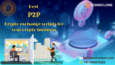 If you are planning to start your own P2P crypto exchange, but not aware of the top P2P crypto exchange scripts.

Then this blog might help you to choose the right P2P exchange script for your business.  
