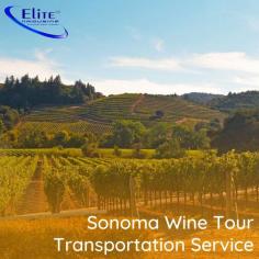 Sonoma Valley is famous around the world for the widest range of wines- red, white and sparkling. Elite Limousine Inc offers Sonoma wine tour transportation at an affordable price range, get in touch with us to start your best tour experience.

https://www.elitelimousineinc.com/sonoma_wine_tour.htm