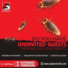 Cockroach Pest Control Services in Mumbai, Sanitization Services, Cockroach Control Services, Termite Control Services, Pest Control, Bedbug Control Services, Cockroach and Ant Control Services, Bird Netting Service, Cockroach Treatment Services, Cockroach Control, Pest Control Services in Borivali, Pest Control Services in Andheri, Pest Control Services in Kandivali, Residential Pest Control Services, Commercial Pest Control Services, Rats and Rodent Control Services, Pest Control Services, Cockroach Pest Control, Cockroach  Pest Control Services, Pest Control Services in Goregaon, Mosquito Control Services, Ratguard, Disinfection Control Services, Pest Control Services in Thane, Sadguru Cockroach Control, Integrated Pest Management, Pest Control Services Near Me, Pest Control Services in Bandra, Residential Pest Control, Commercial Pest Control, Pest Control Services in Lower parel, Pest Control Services in Goregaon, Ratguard Control Services, Pest control India, Pest Control Mumbai, Herbal Pest Control, Sadguru Facility Services, Sadguru Pest Control, Call:  8291960605 / 7208995500
https://www.sadgurupestcontrol.com/cockroach-pest-control-services-mumbai/
