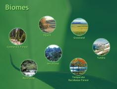 Biomes, as the name suggests, are formed by the ecosystem because they are a part of the environment and merging or combining of the ecosystem is helpful in the constitution of them.  In the environment the relationships between organisms are there, they are interrelated to each other. Food chains and food webs are inter-related to each other so they are a part of them.