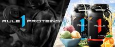 Take a look at our premium range of whey protein supplements collection in variety of brands such as Optimum Nutrition (ON), Muscletech, Dymatize Nutrition, Rule 1, QNT, RUN etc. Get the 100% authentic best quality whey protein supplements in Amritsar with free shipping and genuine pricing only at Angelic Fitness online store. Build your strength with our Whey Protein Supplements.