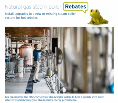 BC Boiler Repair

Are you searching for BC Boiler Repair, welcome to the CANNEPP Boiler Room Technologies. BC Boiler Repair plays an important role in boiler plant operation. Whether it is combustion testing, emissions testing or non-destructive testing, there is great value in staying ahead of potential problems, untimely shut downs, or even catastrophic failures through periodic testing. Diagnostic troubleshooting is at the other end of this important service activity. When boiler faults occur, it is critical that corrective action is quickly identified and applied. For More Info:- https://www.cannepp.com/boiler-services/boiler-burner-repair/