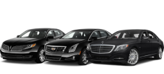 Tips How to Start Your Limousine Business

Well, a limo rental business is just like another business. It is just like a walk in the park. It generally requires planning, supervision, and a great deal of patience. For those who are thinking of Limousine businessthis year, it is heartening to note that the area of the tourism market is thriving nowadays which helps prospective owners of limo businesses. A well-managed Limo Permit service can help toconvert your business into a profitable venture. 

Read more here: https://businessrocketusa.mystrikingly.com/blog/tips-how-to-start-your-limousine-business

#OccupationalDealerLicense
