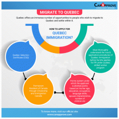 migrate to quebec

In recent times, Quebec is considered as one the best places for immigration. Applying for Quebec Immigration is now easy with CanApprove. Contact us!
Read More>>https://www.canapprove.com/how-to-migrate-to-quebec/

