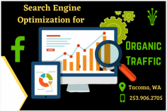Increase the Traffic to Boost the Website

Drive an exponential raise in your organic traffic generation with the best search engine optimization strategies. To know more details - Support@greenhaveninteractive.com.
