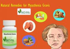 It is prescribed to accept ginger as one of the supportive Natural Remedies for Myasthenia Gravis. You can begin with one capsule, double a day, yet inquire your doctor if this home treatment can help you and about the suggested dosage.
