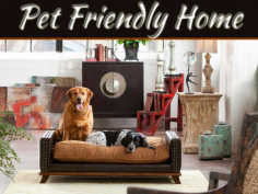 How to create a Pet-Friendly Home By Julian Brand
You have a passion for animals. You, on the other hand, adore a home with lovely decor! Having furry pals typically means you can’t maintain your house as clean as you’d want, right? Wrong! Here’s how to create a pet-friendly house without sacrificing your unique flair. https://bit.ly/3mU8JFO #PetFriendlyHome #JulianBrand #Julainbrandactor #InteriorDesign #HomeDecor #Julianbandactorhomes 