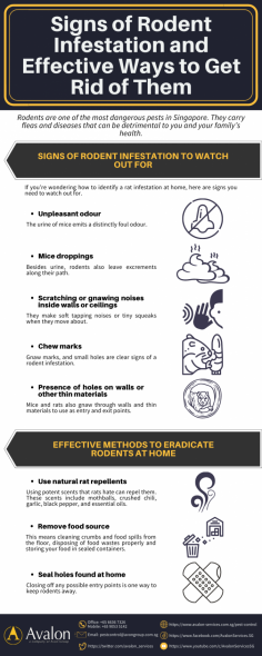 Rodents are one of the most dangerous pests in Singapore. Before you experience the worst, early detection is the key to preventing severe rodent infestation. This infographic shows the signs of rodent infestation and effective ways to get rid of them.