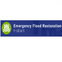 Water extraction service Hobart is a one-stop destination for emergency water extraction services in Hobart. Their best water extraction cleaner in Hobart is designed to efficiently control sewage tank cleaning problems. Contact us to get water extraction services at your doorstep.
visit: https://emergencyfloodrestorationhobart.com.au/services/water-extraction-hobart/
