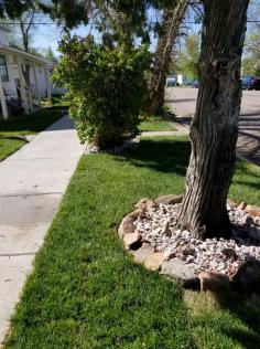 lawn care cheyenne wyoming