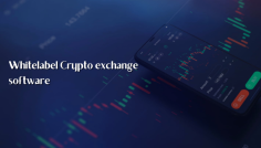 White label crypto exchange software is one of the effective product which strikes most of the entrepreneurs’ minds when deciding for launching a crypto exchange in a short while. If you aren’t aware of what a white label crypto exchange is then this is for you. 

Get to know what a white label crypto exchange software is.

https://bit.ly/3dfXW37 