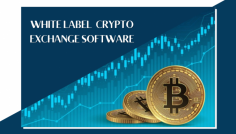 With the enormous benefits, white label crypto exchange software has played a major part in the launch of the crypto exchange process for many entrepreneurs. Also, this white label crypto exchange software is considered the prior development method because of its versatility. 

https://bit.ly/3dfXW37 