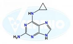 Abacavir Cyclopropyl Diamino Purine Impurity
Catalogue No. - VL760002
CAS No. - 120503-69-7
Molecular Formula - C8H10N6
Molecular Weight - 190.21
IUPAC Name - N6-Cyclopropyl-9H-purine-2,6-diamine