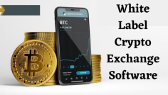 Instead of implementing other development methodologies for launching a crypto exchange, why white label crypto exchange software is highly preferred by many startups is still a mystery.

Get to know what a White label crypto exchange is and how does it help to launch a crypto exchange effectively.

https://bit.ly/3kRBgKs 