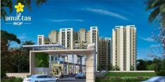 Rof Amaltas sector 92 Gurgaon offering you 1BHK and 3BHK flats in Gurgaon. It is spread in 5 acres land space and projects has good connectivity To Delhi. It is designed beautifully at affordable price. Call 9582821821 for more details.