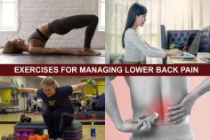 Julian Brand Actor shares exercises for managing lower back pain.  Doctors may prescribe a range of therapies, workouts, and items to alleviate lower back pain problems.

Know More: https://actorjulianbrand.com/fitness/exercises-for-managing-lower-back-pain-julian-brand/