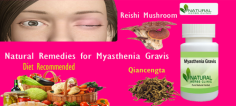5 Useful Natural Remedies for Myasthenia Gravis Natural Cure
Reishi mushroom (Ganodermalucidum), likewise known as ling zhi in China and it is an extremely renowned herbal remedy that uses in Natural Remedies for Myasthenia Gravis to diminish the indications and creates on rotting logs and tree stumps.
https://zenwriting.net/x2laq9mww2
