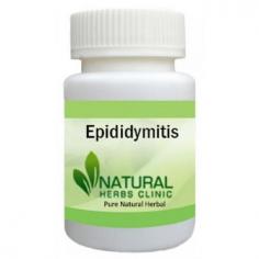 Herbal Supplements for Epididymitis are very useful to treat the condition in natural manners. Utilize Herbal Supplements if you are a patient with Epididymitis.
