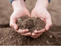 Soil testing is the best way to investigate the condition of an underground tank with accuracy. At Simple Tank Services, we offer an iron-clad guarantee for our testing. Let’s take a look at the soil testing process that is done by most contractors and compare it to the Simple Tank Services method.