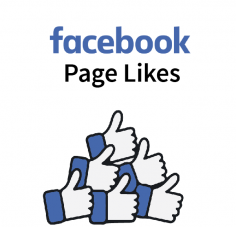 There are several social media marketing agencies that you can find these days. However, if you want to buy cheap Facebook page likes then you should only choose Brand Shoutout. We provide a great opportunity to our customers to buy Facebook likes at an affordable price!