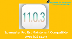 Wenn Sie ein Benutzer eines iPhone-Geräts mit Version 11.0.3 sind, gibt es gute Nachrichten für Sie. Jetzt können Sie das iPhone Ihrer Liebsten mit der neuen IOS 11.0.3-Version von Spymaster Pro auf interessantere Weise verfolgen. Sehen Sie sich an, was es Neues für iOS 11-Benutzer bei Spymaster Pro gibt.