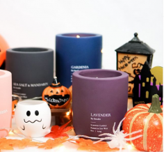 Shop online from our wide range of premium scented soy candles in Singapore. Perfect to decorate your home at an affordable price. Buy now at https://zendle.sg/shop/

