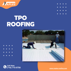 The automobile industry utilizes it in fenders, bumpers, doors, and other body moldings because of the material's ability to withstand even the most severe weather conditions without expanding or shrinking. TPO is also extremely impact-resistant and robust, making it an excellent choice for roofing systems that can withstand harsh weather. Get TPO roofing in US from Naples 
