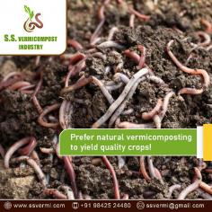 We provide the Best Vermicompost in Madurai at economical price ranges that assists your farms and get you great profits, call us now for more details.