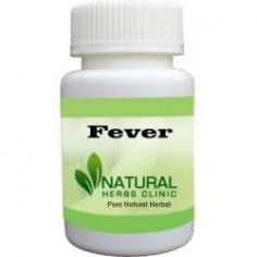 Herbal Treatment for Fever read the Symptoms and Causes. Natural Remedies for Fever get rid of a fever naturally. Supplement is quick relief from fever.